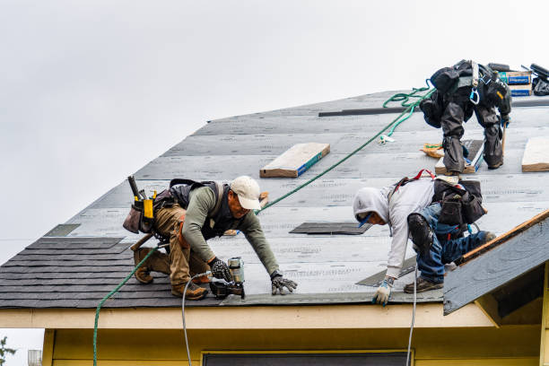 Professional Gutter Installation technician working in Brighton, CO